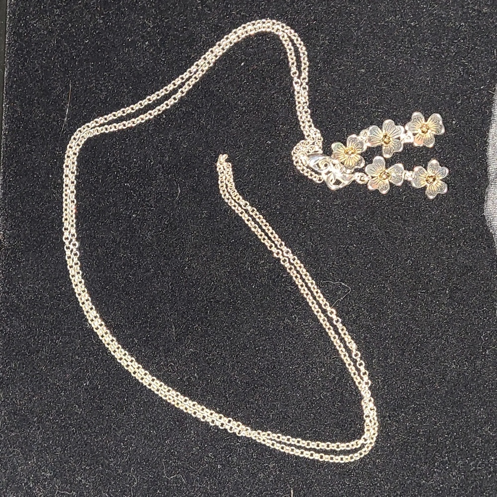 Premier Designs - Daisy, silver chain with 2 Daisy charms.  1 charm is removable